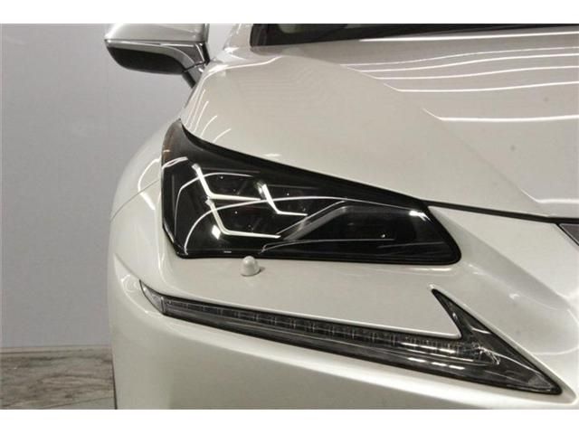 LEXUS NX300