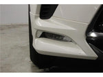 LEXUS NX300