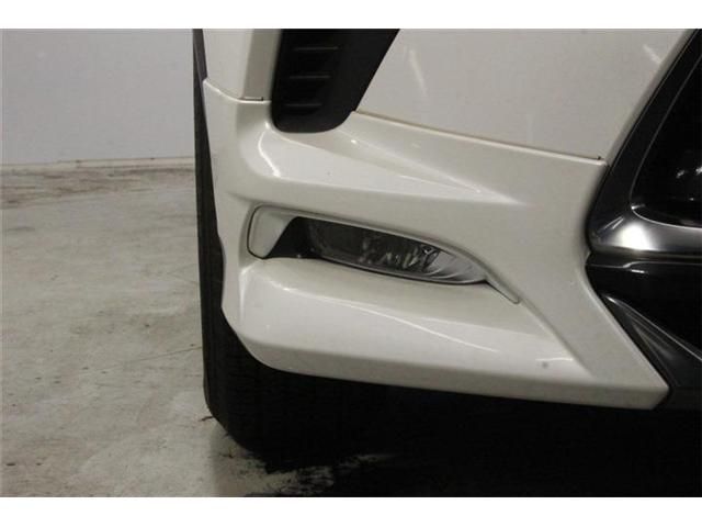 LEXUS NX300