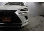 LEXUS NX300