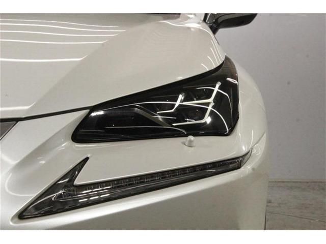 LEXUS NX300