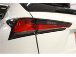 LEXUS NX300