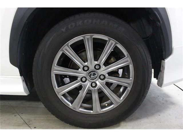 LEXUS NX300