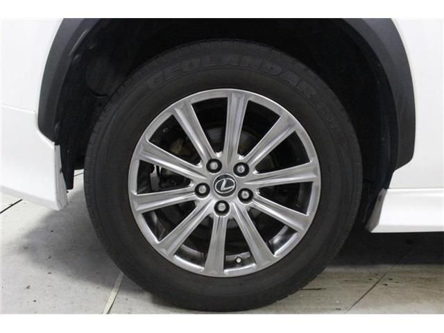 LEXUS NX300