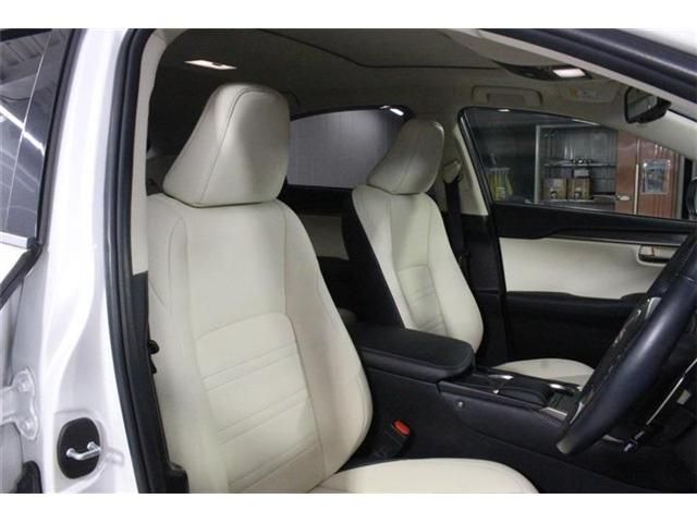 LEXUS NX300