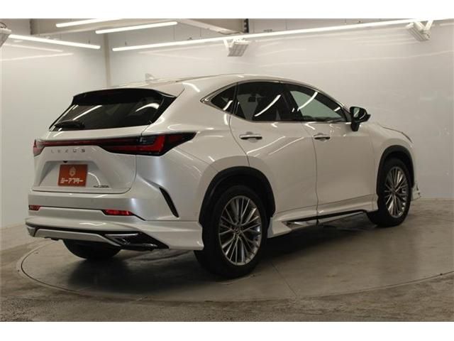 LEXUS NX350h