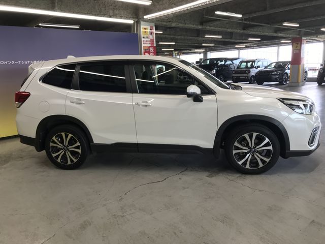 FORESTER