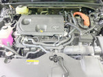 CROWN SPORT