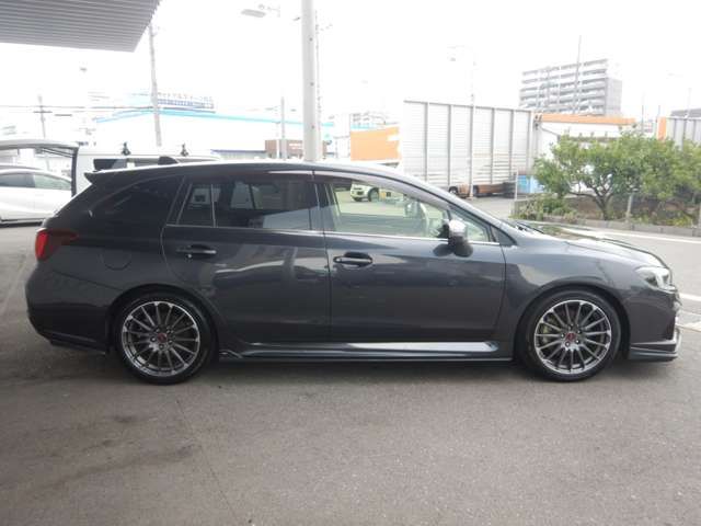 LEVORG