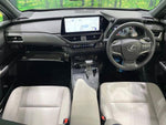 LEXUS UX250h