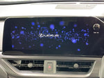 LEXUS UX250h