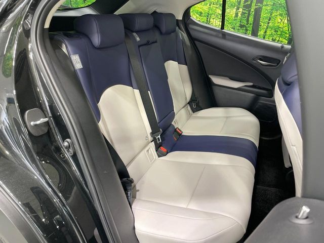 LEXUS UX250h