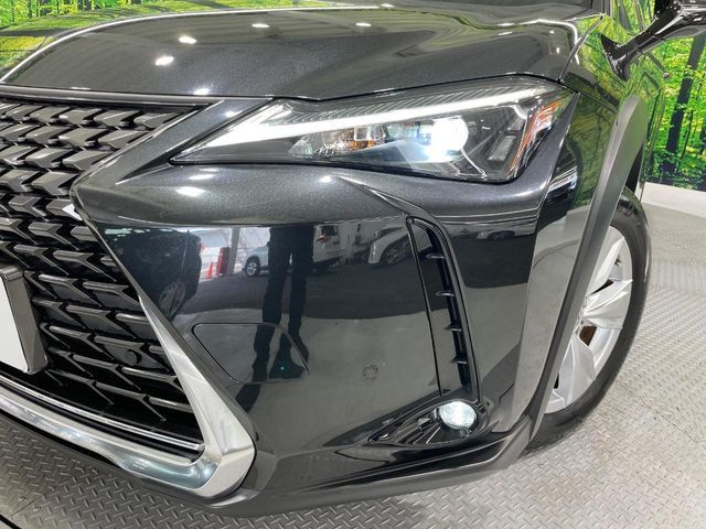 LEXUS UX250h