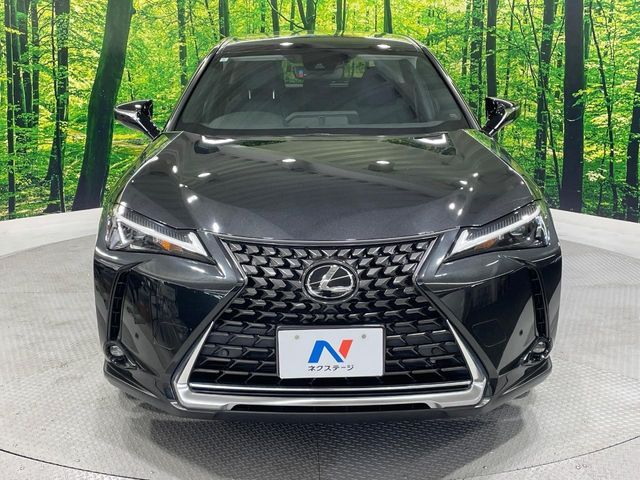LEXUS UX250h