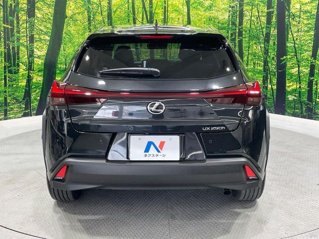 LEXUS UX250h