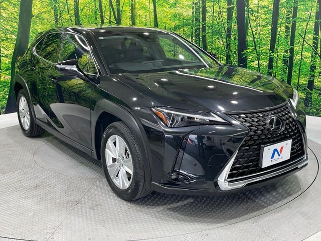 LEXUS UX250h