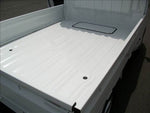 CARRY truck 4WD