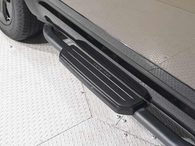 ROVER DEFENDER