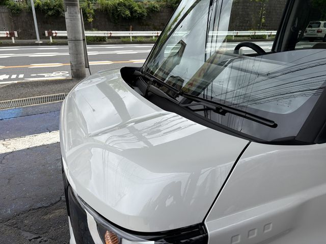 DELICA MINI