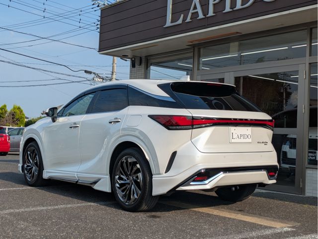 LEXUS RX450h+