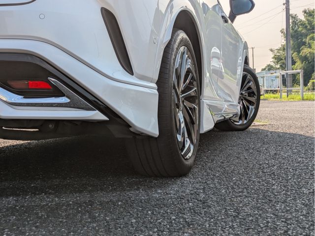 LEXUS RX450h+