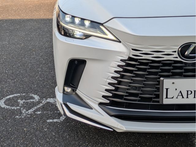 LEXUS RX450h+