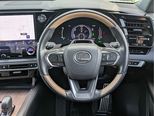 LEXUS RX450h+