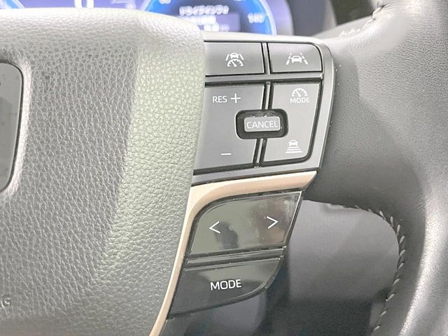 CROWN SPORT