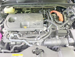 CROWN SPORT