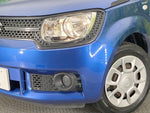 IGNIS