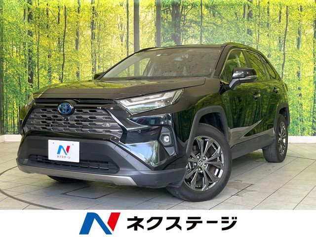 RAV4 HYBRID 4WD