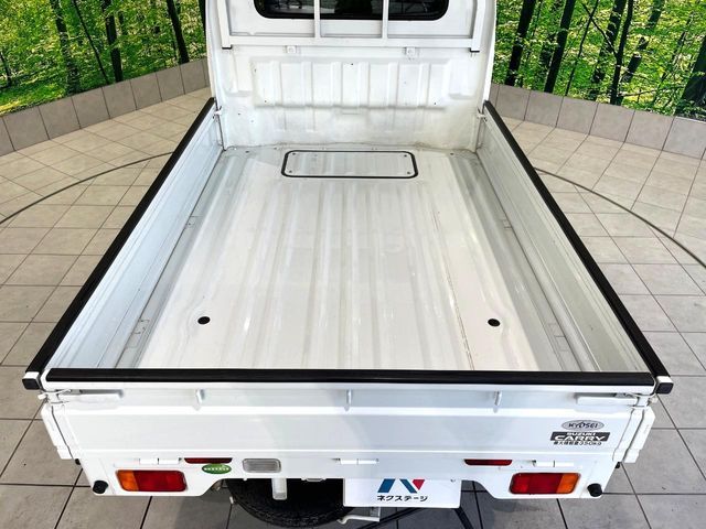 CARRY truck