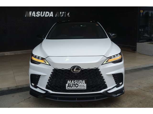 LEXUS RX500h