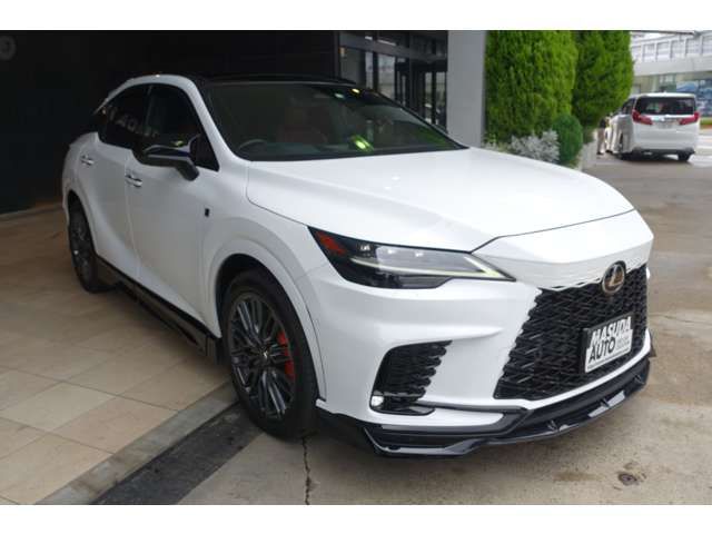 LEXUS RX500h