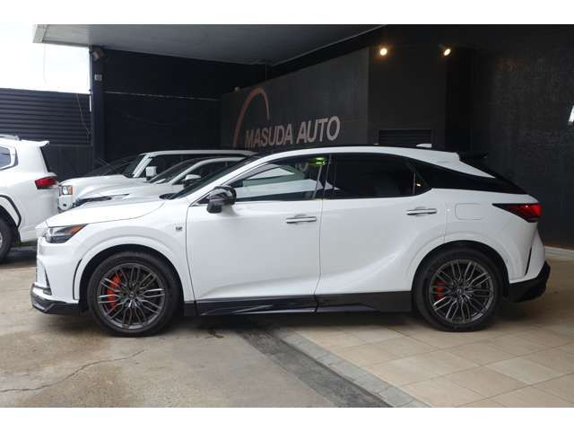 LEXUS RX500h