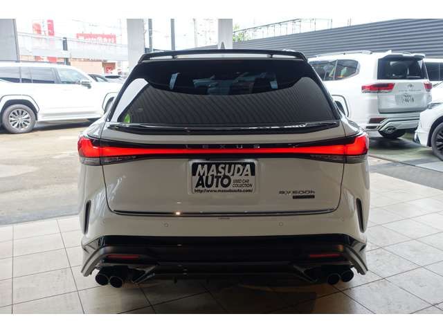 LEXUS RX500h