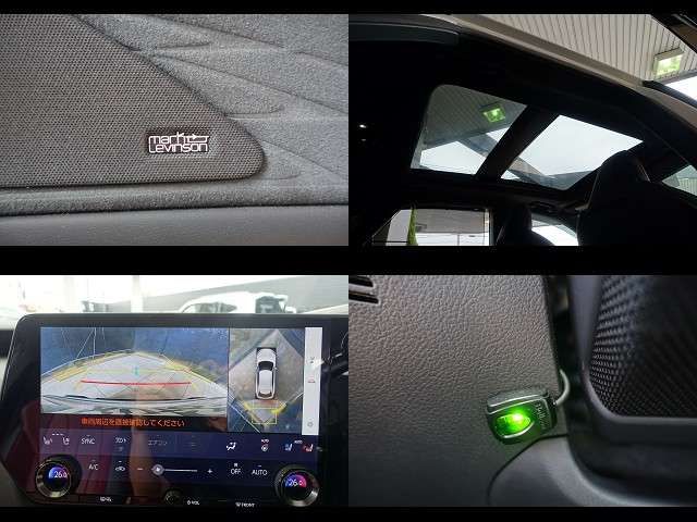 LEXUS RX500h