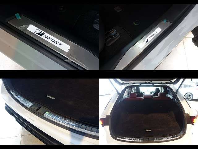 LEXUS RX500h