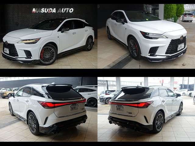 LEXUS RX500h