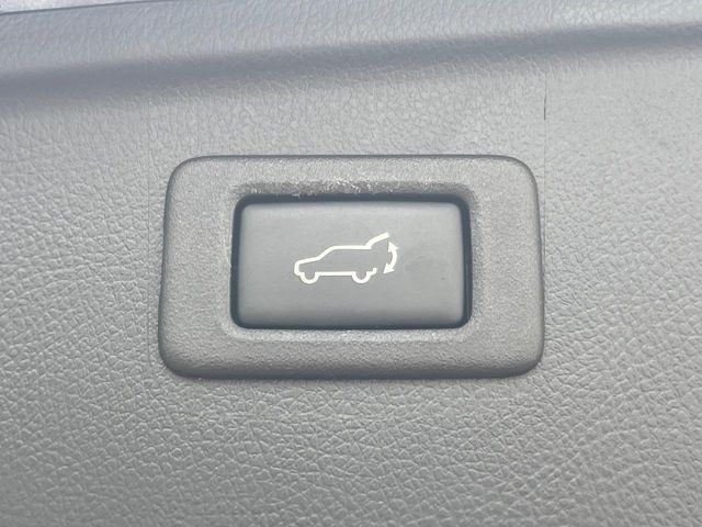 LEGACY OUTBACK