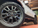 LANDCRUISER 250