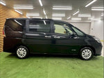 SERENA  S-HYBRID