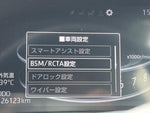 RAIZE