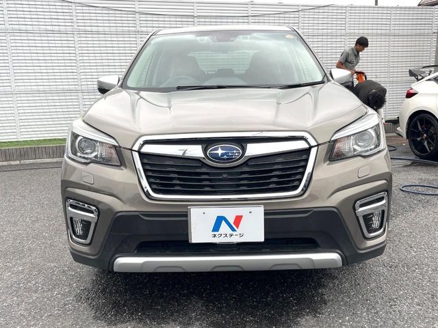 FORESTER