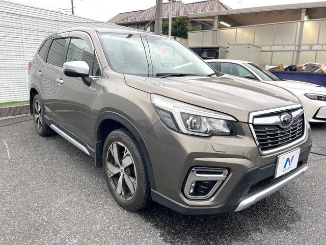 FORESTER