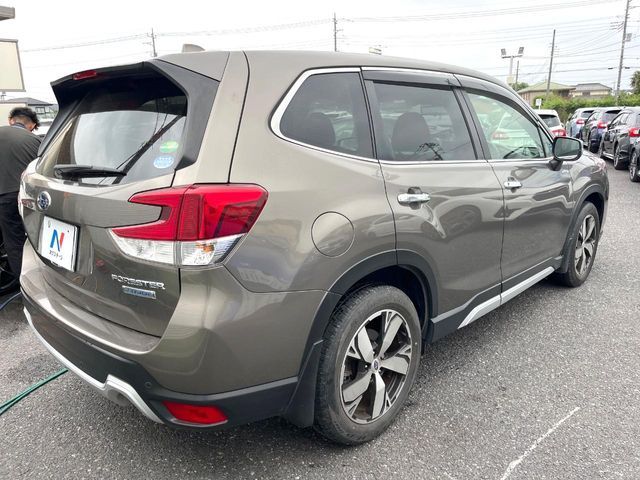 FORESTER