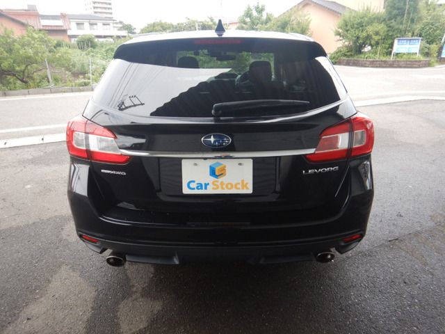 LEVORG