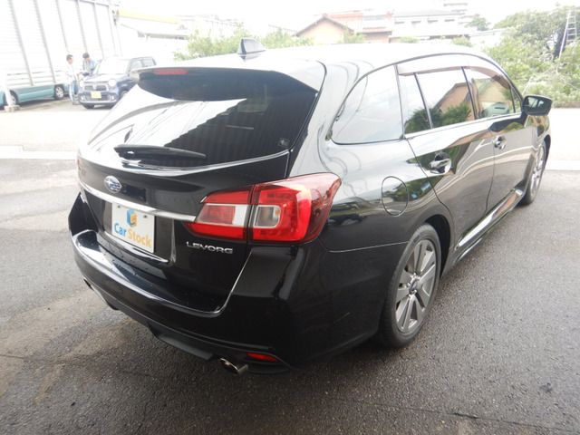 LEVORG