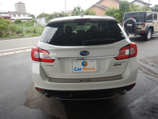 LEVORG