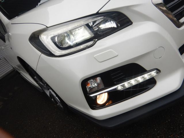 LEVORG